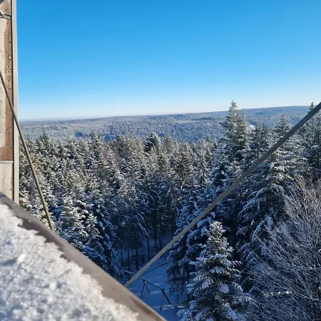 Appartement Herrlich Bad Wildbad Exterior photo